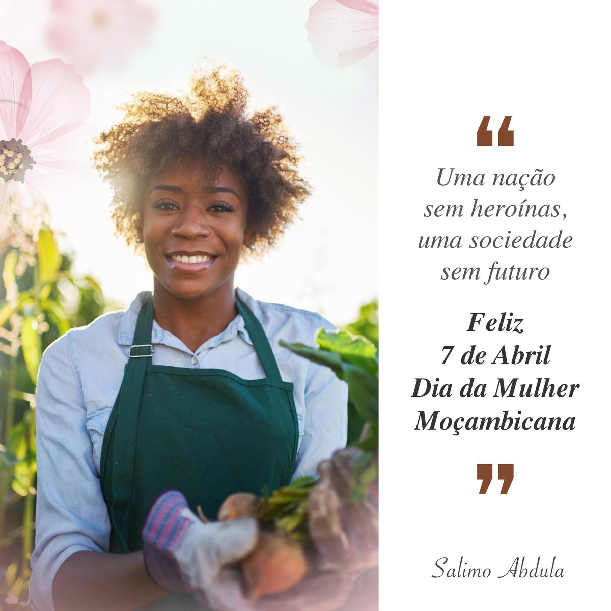 SalimoAbdula tweet media