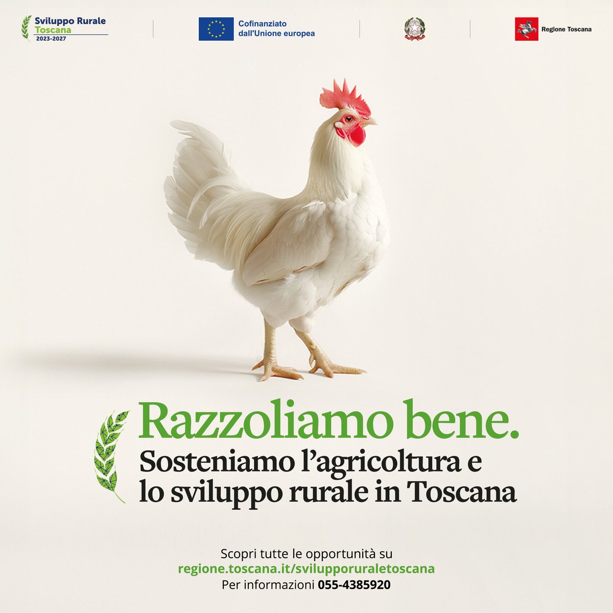 Con il Fondo europeo agricolo per lo sviluppo rurale, la Regione Toscana supporta progetti, investimenti e idee per la crescita del settore agricolo, alimentare e forestale, migliorando la qualità della vita di tutti noi. 👉Scopri di più: regione.toscana.it/svilupporurale…