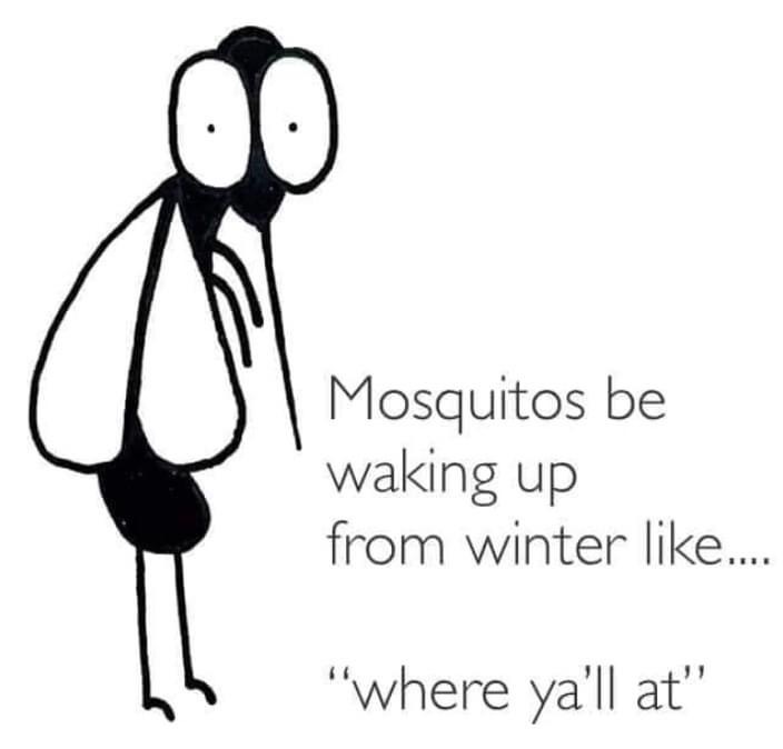 #FunnyFriday #MosquitoHumor #Spring #iHateMosquitoes