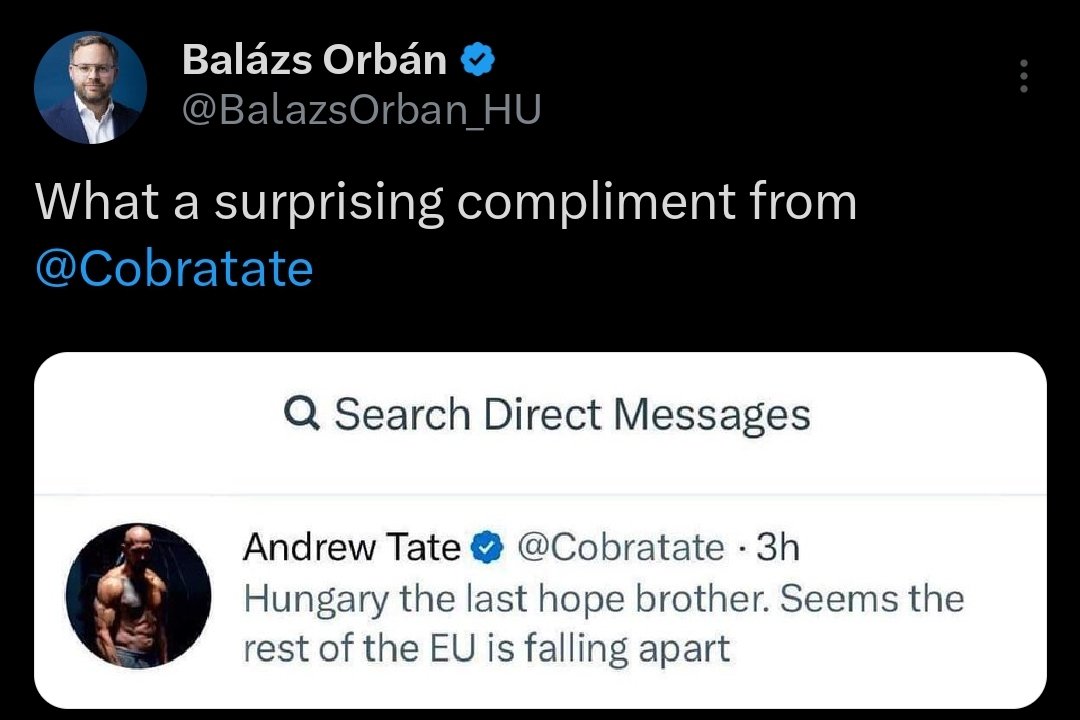 So you are a self-described misogynist, a person charged with sex trafficking and rape? No worries, the super-pro-family @PM_ViktorOrban gang will still be eager to get your support. @BalazsOrban_HU @Cobratate