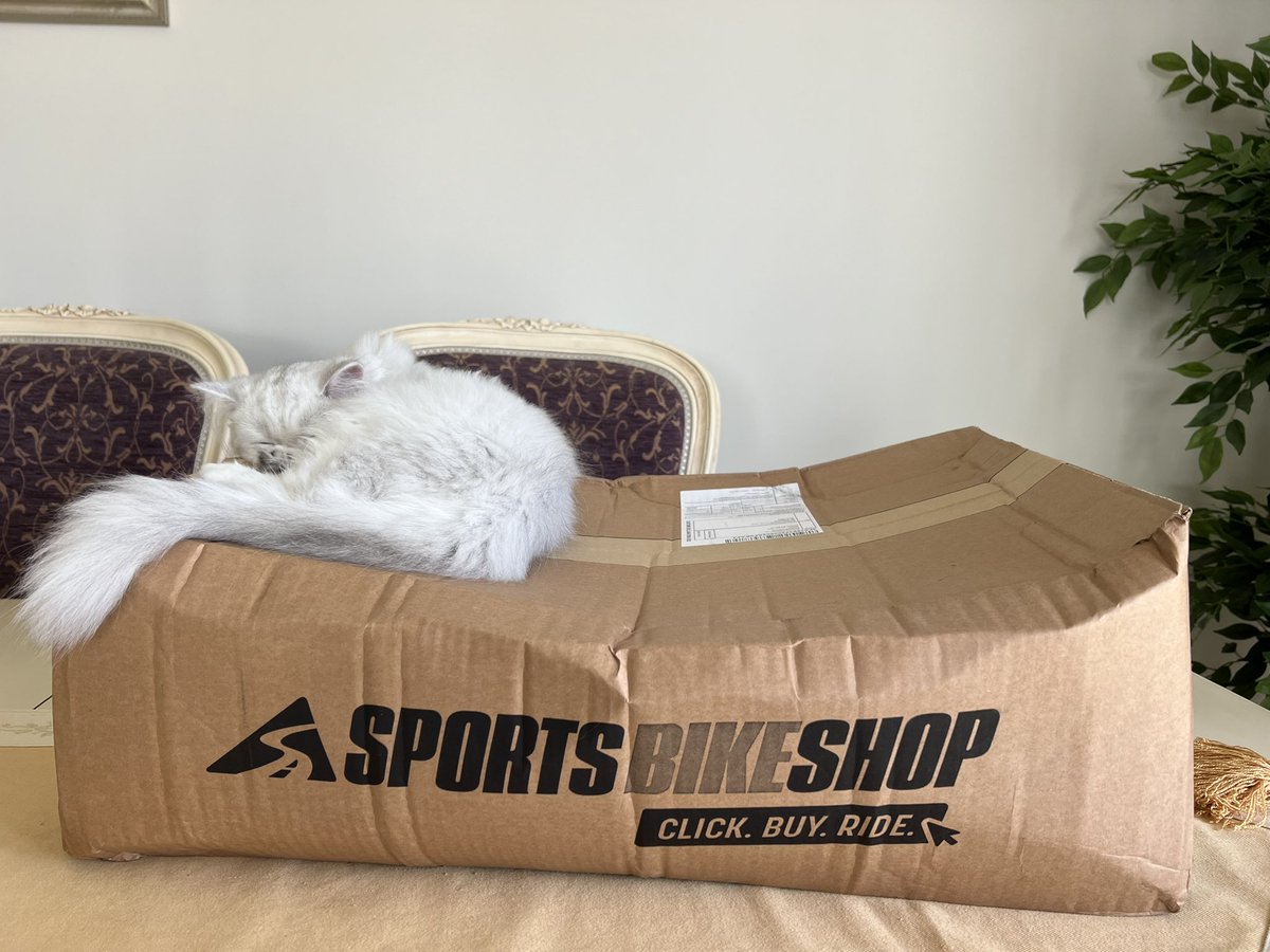 gsybiker's tweet photo. @SPORTSBIKESHOP https://t.co/KeCUURhcVg