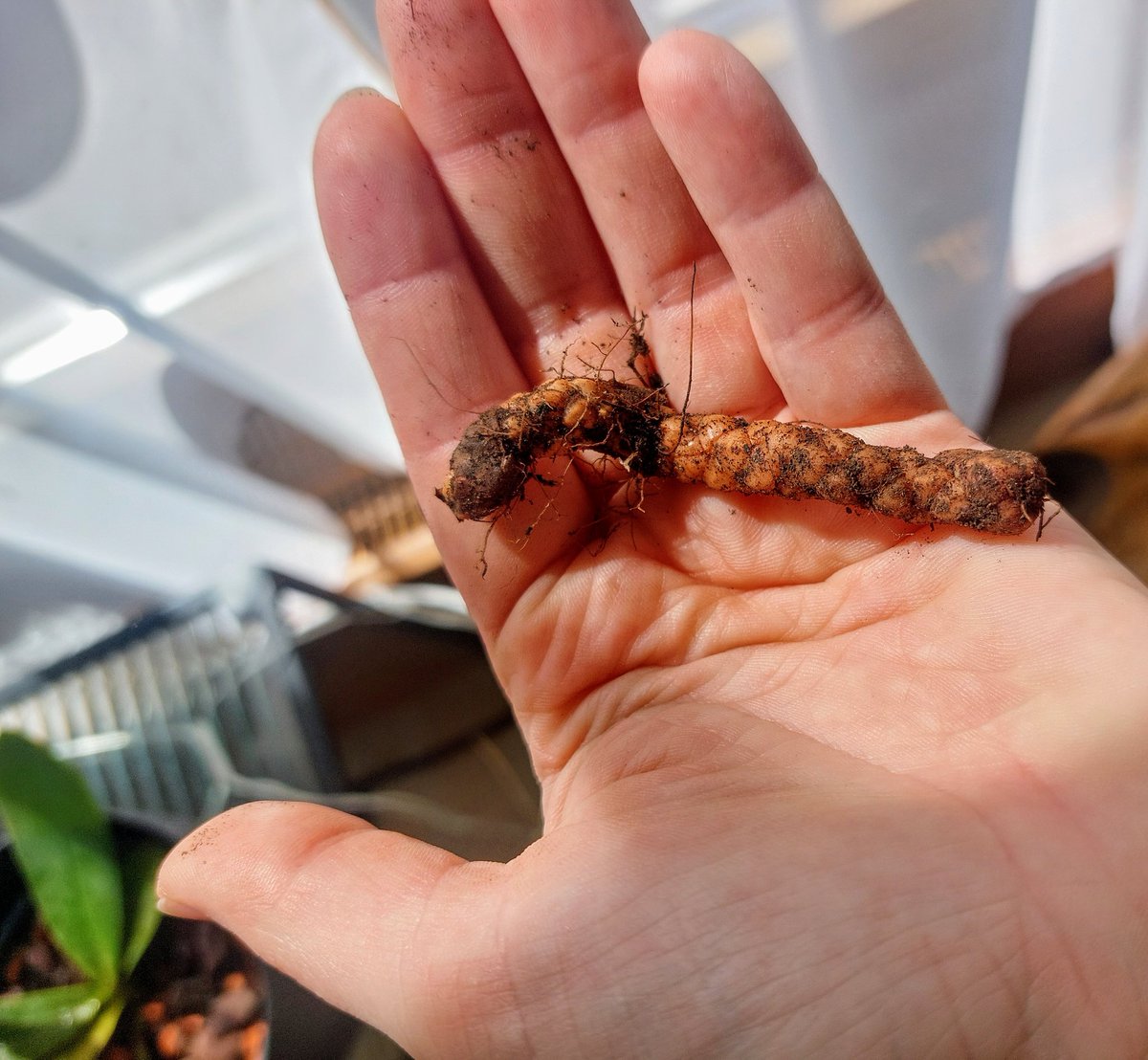 Wochenendrätsel: Was ist das?