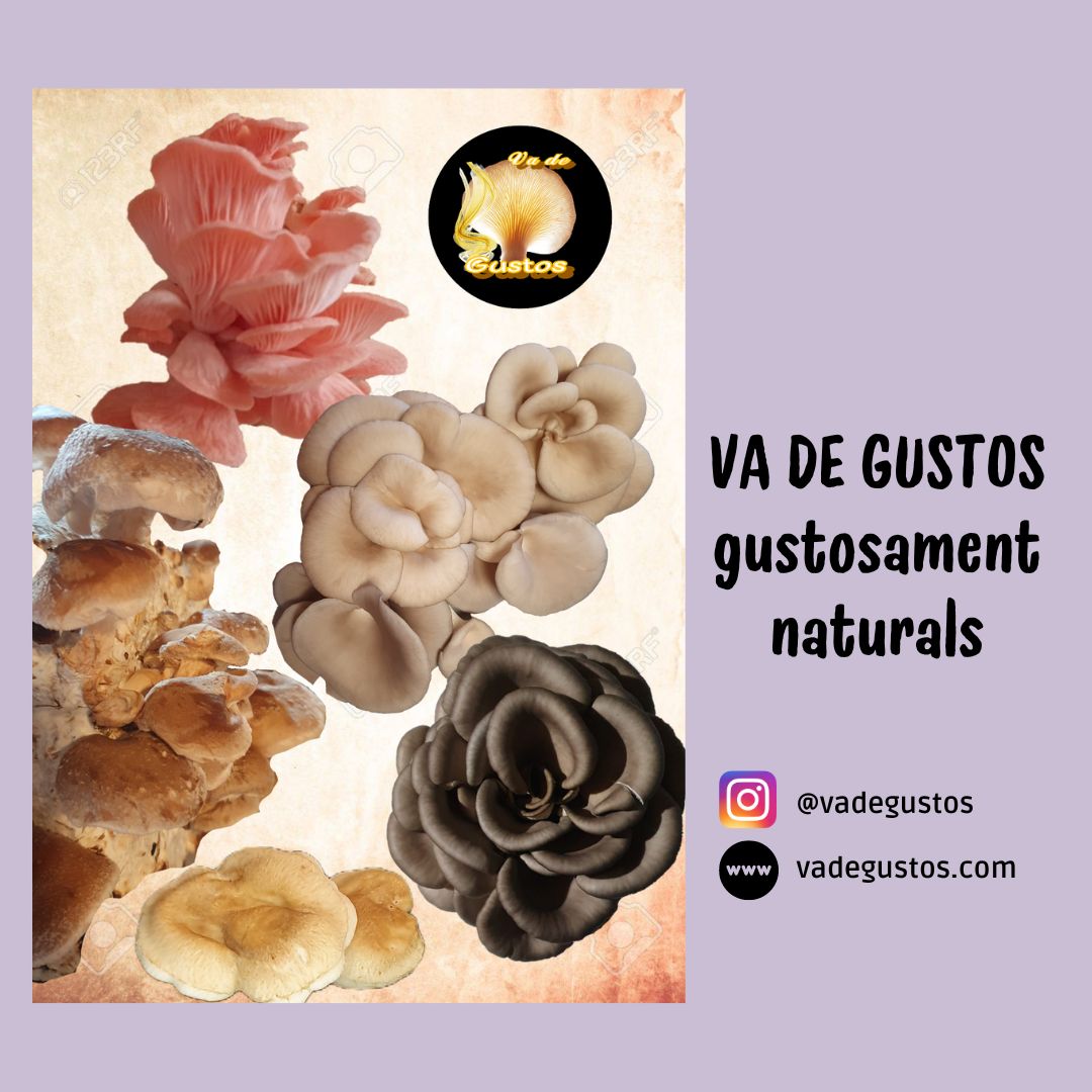 Fira Horticultura tweet media