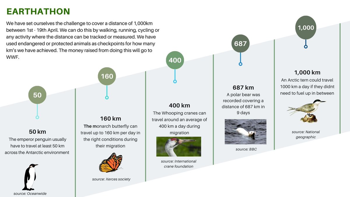 Pineapple Earthathon week 1 update! So far, Team Pineapple has covered a distance of  679km! 🐻‍❄️ 

Please show your support by visiting our JustGiving page, your support is much appreciated; ow.ly/Bml950R34oV

#Justgiving #Challenge #Fundraiser #WWFUK #Sustainability