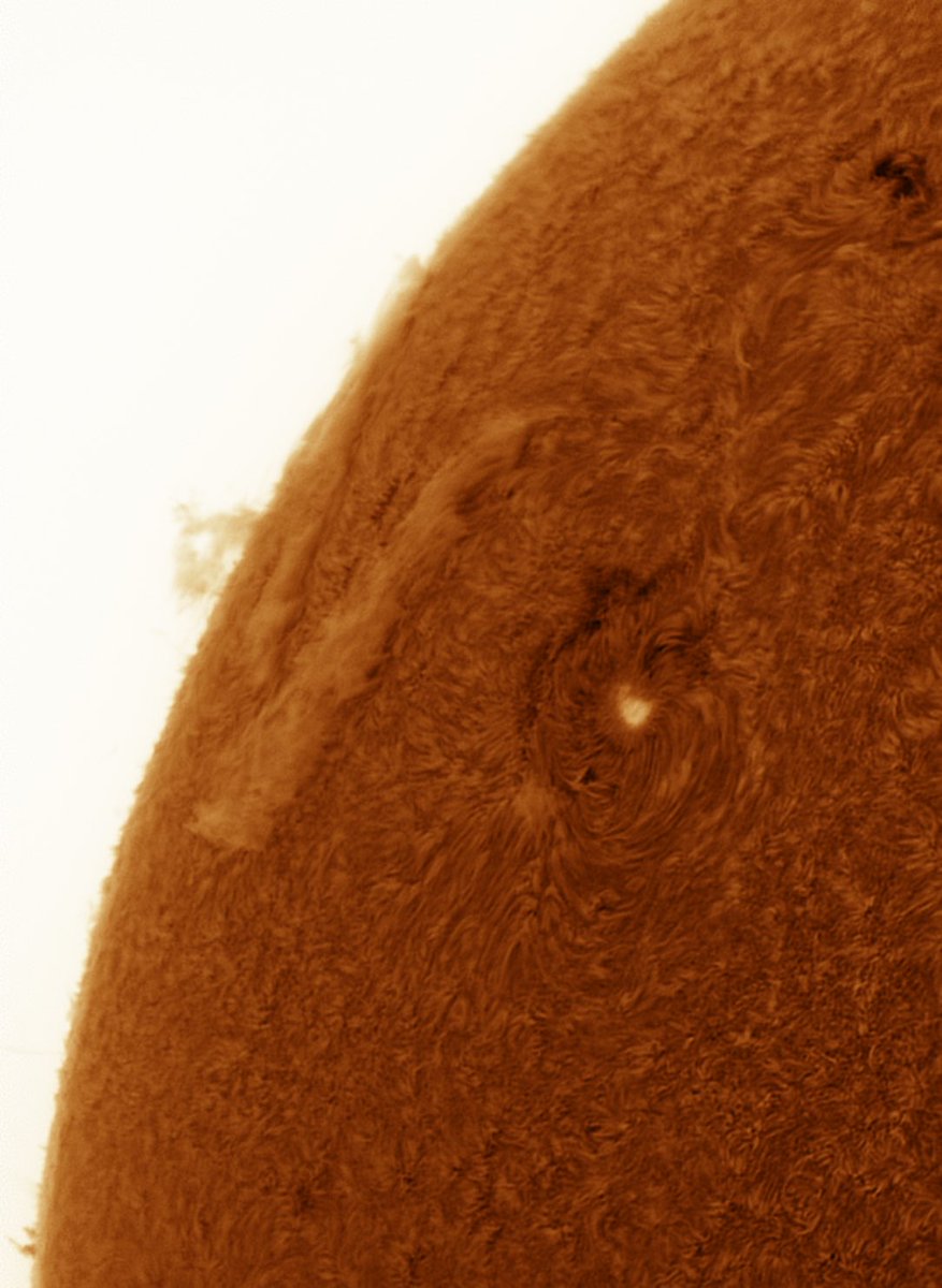 The #Sun this morning though a few gaps in the cloud. Finally got to test my new double-stack system, and the results are gorgeous! Inverted view of active region 3628. #Astrophotography