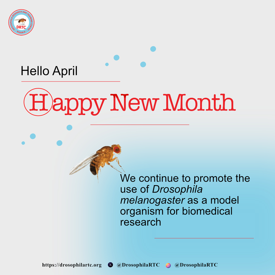 Welcome to April 🔬🔬

#drosophilaresearch #research #gradschool #laboratory  #biomedicalresearch #biochemistry #cellbiology #genetics