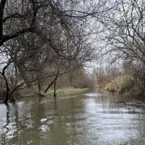 Clear waterways are crucial to keep water flowing and flooding at bay.

#TeamEA headed to the Barge Canal in Romsey to remove fallen trees that were obstructing the canal.

Take a look at the difference it made!