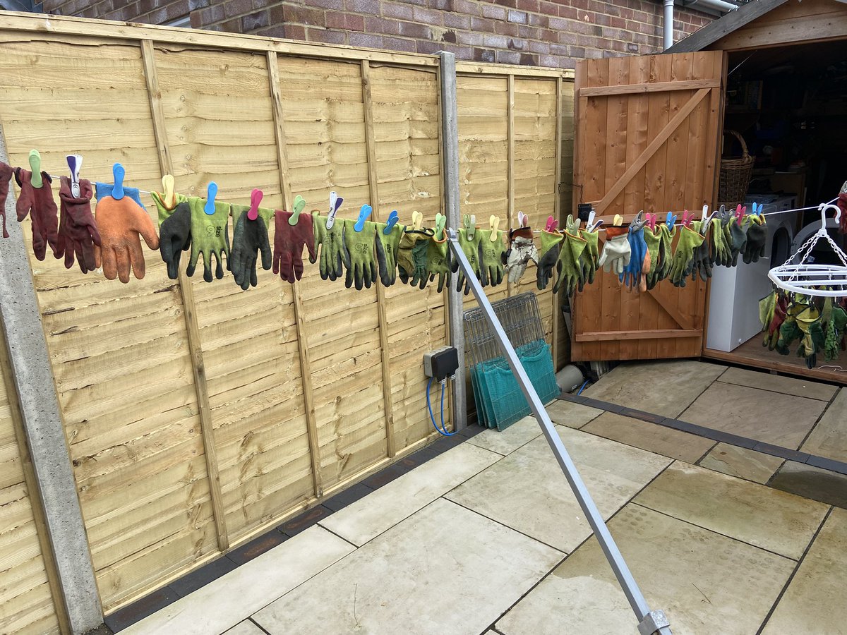 Spring clean in the school garden, polytunnel @StPetersFarnham @RHSSchools  #schoolholidayjob