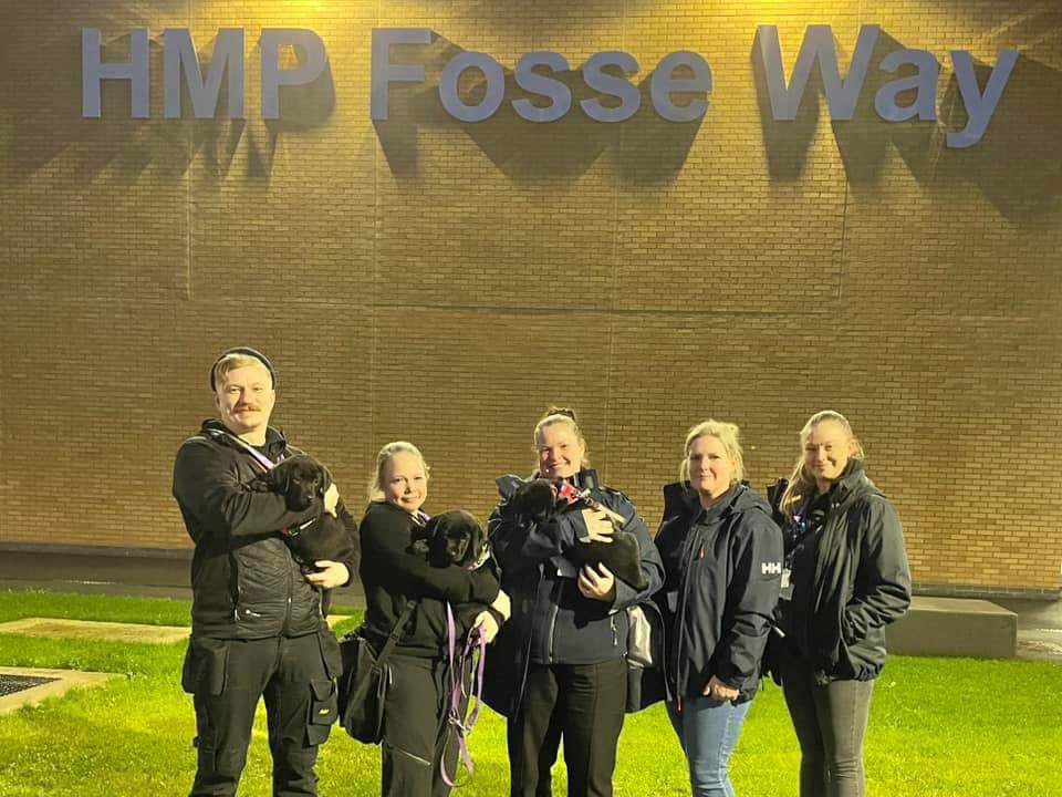 In January we started work in a new prison and our new puppies Jane, Olive, Frida and Ada officially became Restart Dogs. The girls have been doing so well under the guidance of our FW Restart Team. Thank you to everyone who has been involved in supporting us at @hmpfosseway