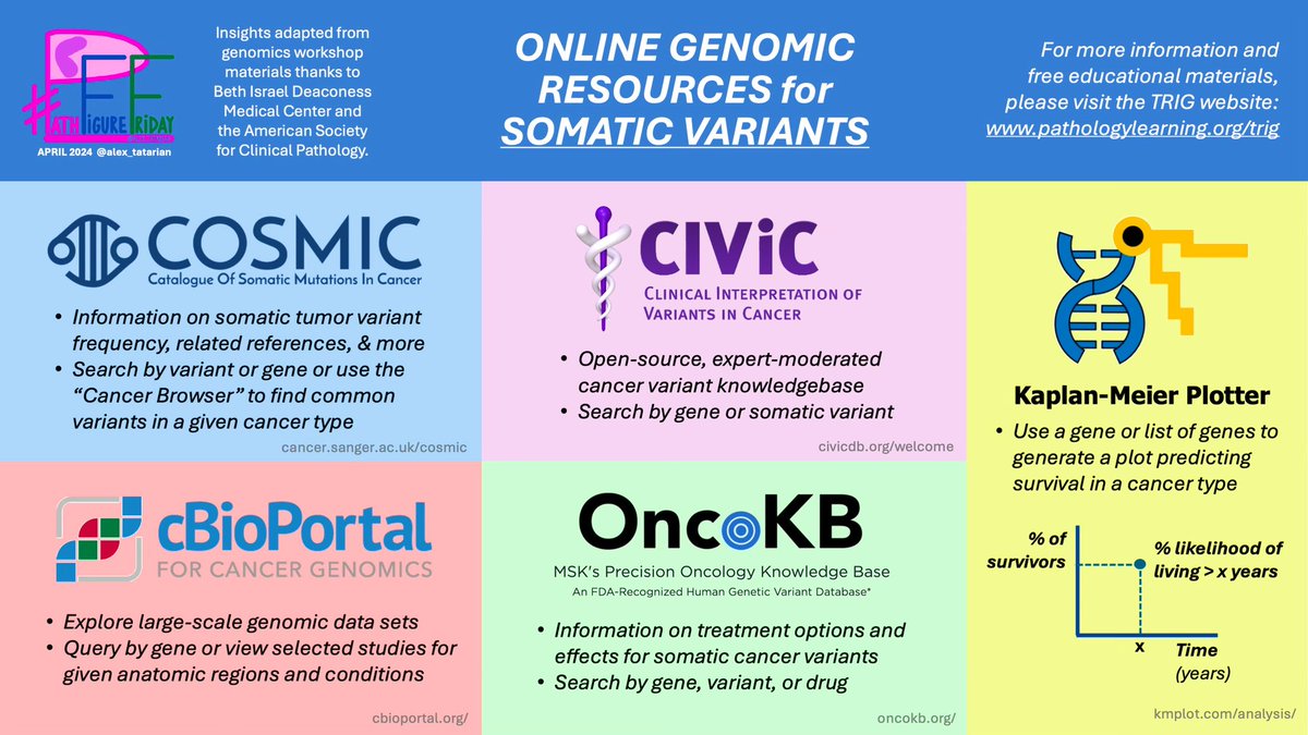 alex_tatarian's tweet photo. It’s #PathFigureFriday! 🧬 Here’s a diagram based on teachings from the @TheUSCAP Medical Student #Genomics Workshop. Also check out https://t.co/Mem3a1fDMe!

[Last week’s included too]

#PathTwitter #PathX #MedX 
#MedTwitter #genetics #germline 

⬇️More:
https://t.co/Xme45LAw6F https://t.co/depCpyTKLU