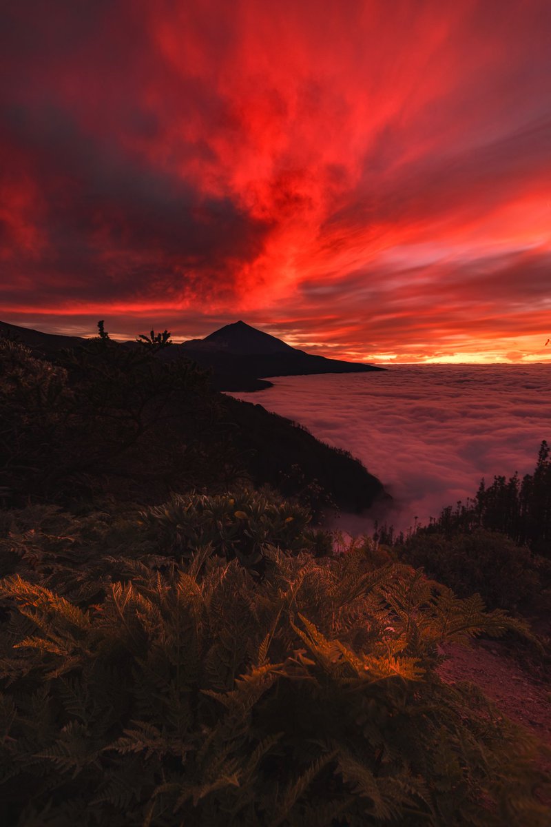 #Haiku Al rojo vivo y flotando entre nubes, vislumbro al Teide. @Dontorrino  @Auroragilbo  @jgreverte @yayalcayna  @famartinez2001  @fernandomys @emilio_bravo__ @Isabelsm3 @Alfriverive00 @aguayo_UM @futurodelagua @kikatyg @felisazicari1 @arecibo75 @Bakucecilia