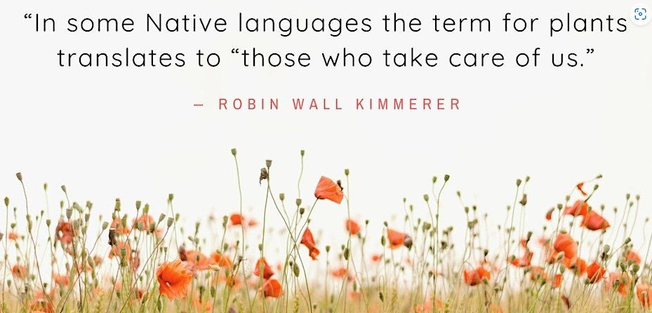 #Amersham folk! Want to join our book club? This month we're meeting on 22/04 at 1930 at the Beech House, Hill Ave to discuss Braiding Sweetgrass by Robin Wall Kimmerer. Join us: eventbrite.co.uk/e/sustainable-…
#learnandact #SustainableAmersham #WildAmersham
#bookclub