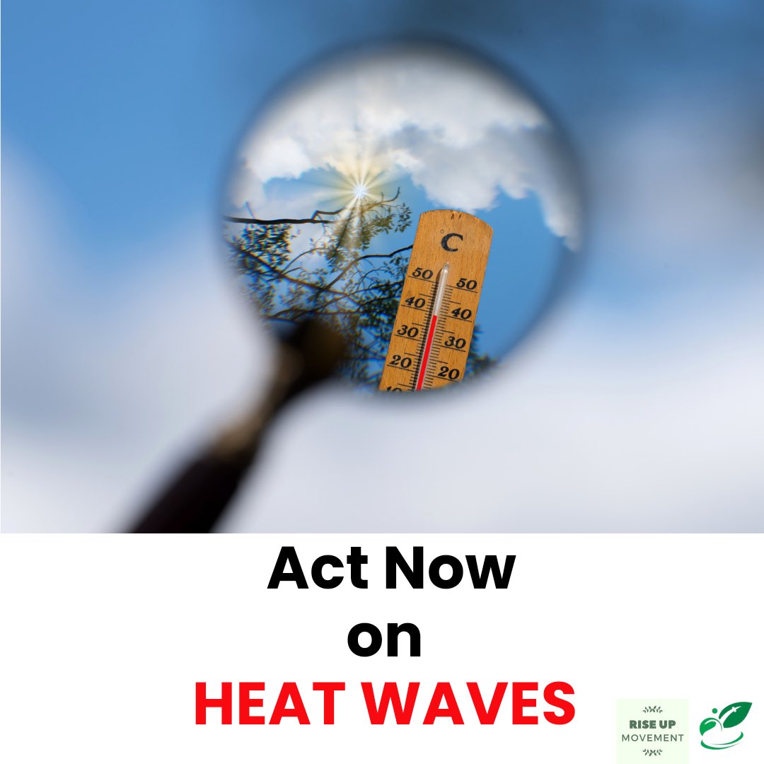 Heatwaves are devastating Africa's agriculture, displacing communities & worsening hunger. We need global action on climate change #ActNowOnHeatwaves