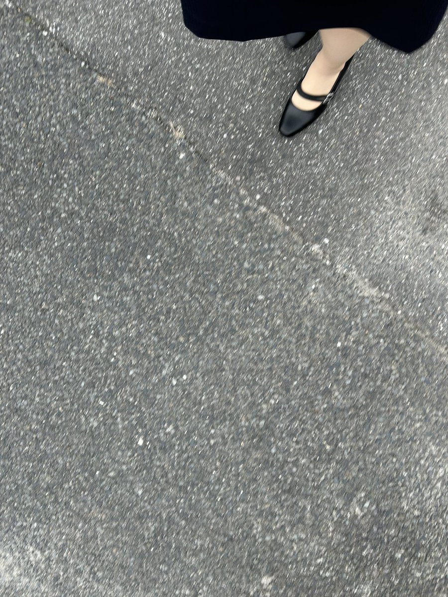 めっちゃ久しぶりにスーツ着た
間違って撮っちゃった写真