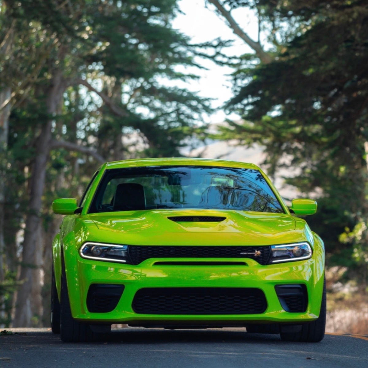 Dare to be different? 👀 Choose an extraordinary #DodgeCharger when you visit us this weekend! This exhilarating ride is your key to spicing up every mile on the road! 😮‍💨🔥 #TGIF #Dodge #DodgeUSA