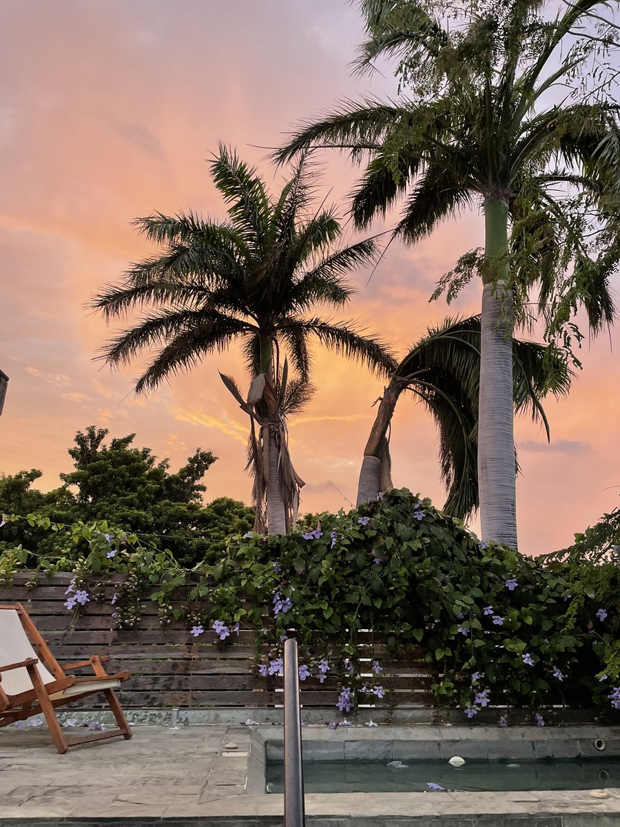 Too Long; Don't Listen (TL; DL) (@tldltoday) on Twitter photo Took a break for 2 weeks and I miss my recordings already! Looking for my next guest 💜 any recs? (Also, hello from Colombia!) Took a break for 2 weeks and I miss my recordings already! Looking for my next guest 💜 any recs? (Also, hello from Colombia!)