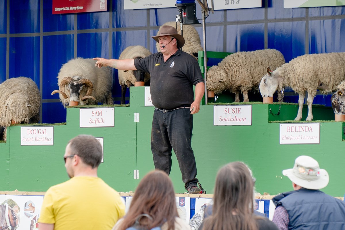 🐑Get ready for a woolly good time during the The #Sheep Show at #DevonCountyShow–where edu-tainment meets sheep-tastic fun! 🌟This fun filled show introduces you to 9 different breeds of sheep. Each has a story to tell with interesting facts and figures relating to their breed!