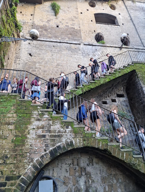 wilderntrips's tweet photo. Our historians have been exploring Sorrento and Capri in Italy.  The weather looks a little better there! https://t.co/8xND8NarZt
