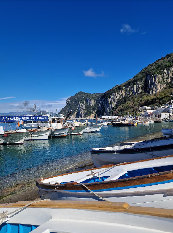 wilderntrips's tweet photo. Our historians have been exploring Sorrento and Capri in Italy.  The weather looks a little better there! https://t.co/8xND8NarZt