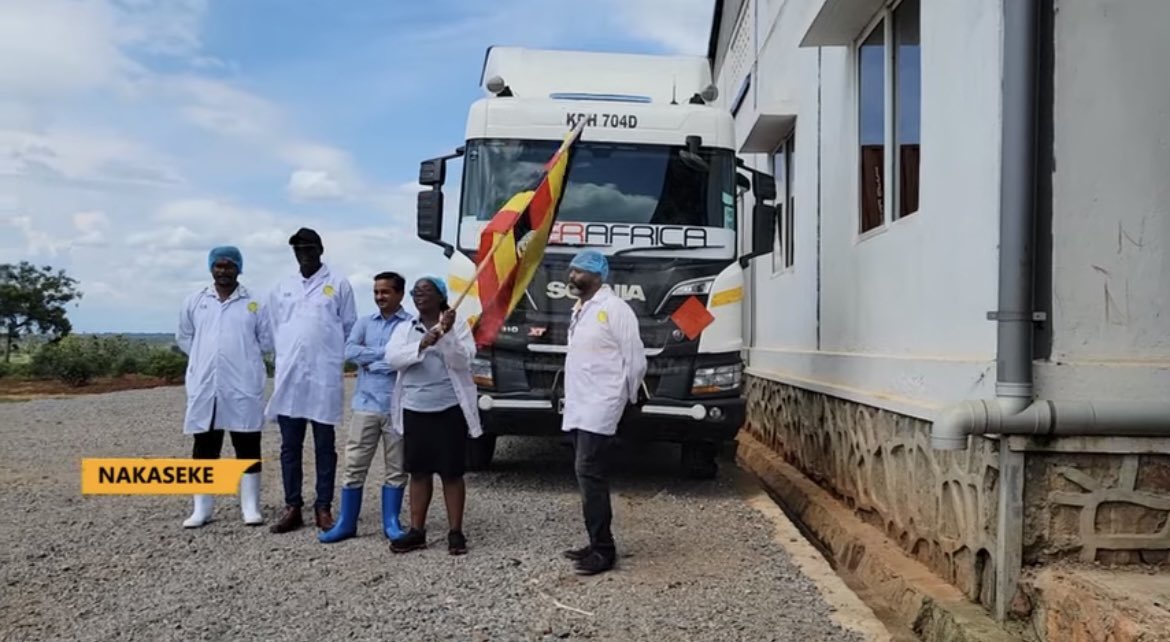 Uganda has flagged off a 24,000 liters consignment of avocado crude Oil extract worth 750 million shillings. Watch Full Video Here : youtu.be/SBlr8EQLj14?si… #NAADS #Hassavacado #Letsfarmtogether #agriculture