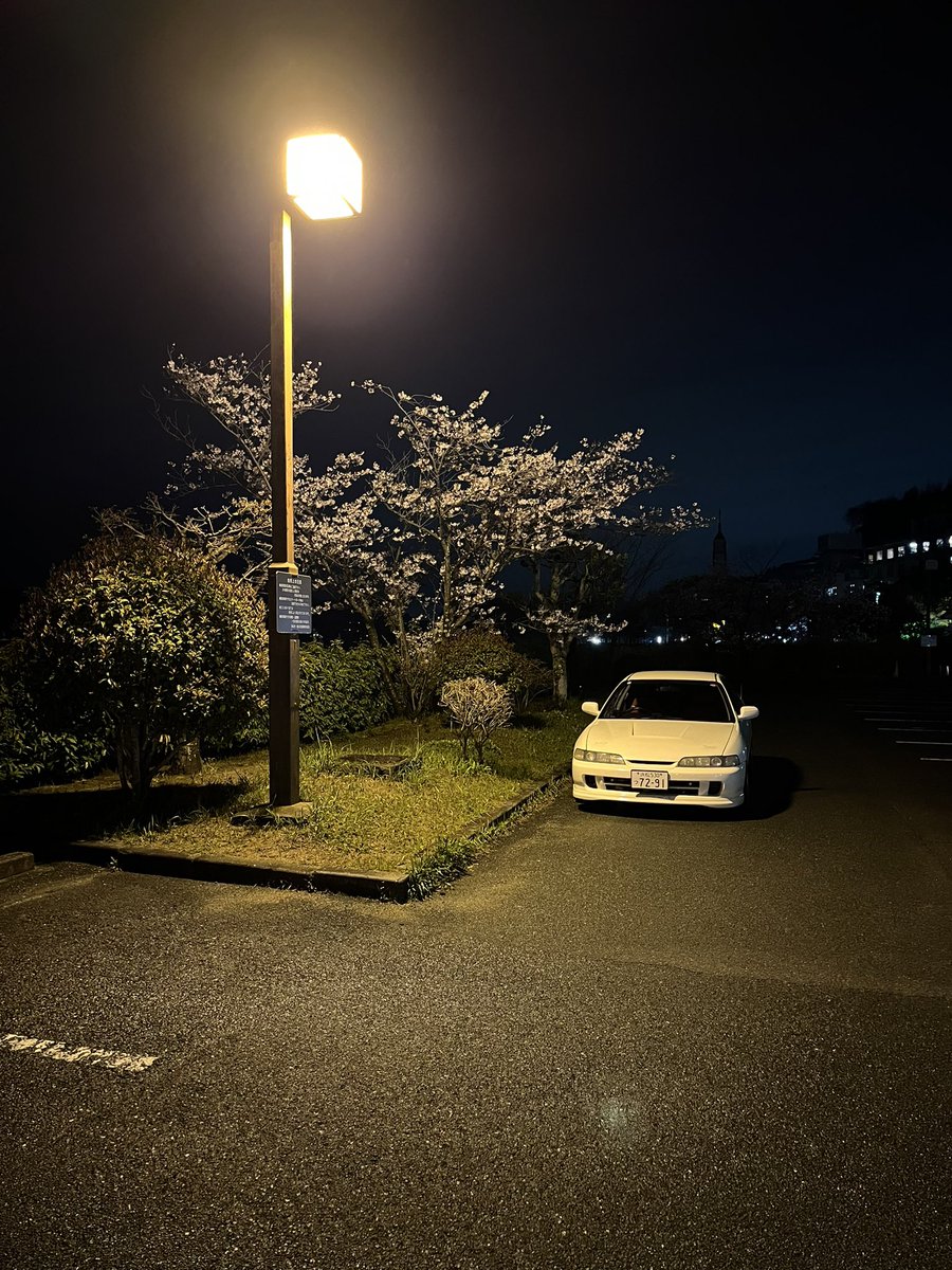 さっき、ふらっと夜桜撮影してきた
どこの桜もほぼ満開に近いわ！
なかなか、ライトアップされてる桜は少ない🌸

#夜桜撮影