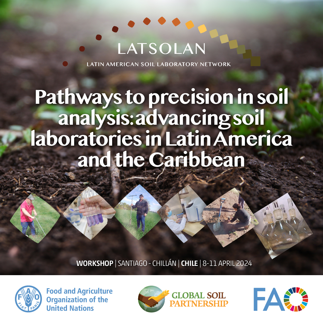 🔬 Discover the soil testing challenges and strategies in Latin America & the Caribbean #LATSOLAN From chemical to biological analysis, let's explore strategies together #SoilHealth #GlobalSoilPartnership 📖Read more fao.org/global-soil-pa… 📺Watch live youtu.be/UFaASvPvlsg