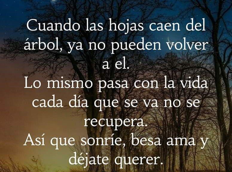 Cuando las hojas caen del arbol, ya no pueden volver a el Lo mismo pasa con la vida cada dia que se va no se recupera. : Asi que sonrie, besa ama y dejate querer.