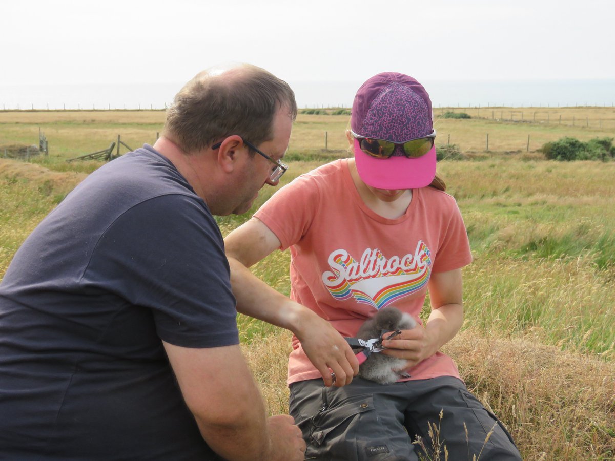 In BB this month The British Birds Charitable Trust has increased the maximum amount it makes available in grants to young birders, from £250 to £500. It has been awarding grants to young birders since 2014.Deadline: end of June 2024 ➡️Find out more bit.ly/3vFFGNe