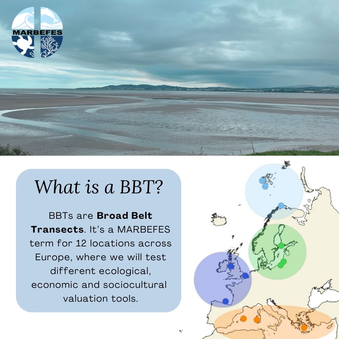 🪸Over the next coming weeks, we will highlight some of our study sites, referred to as Broad Belt Transects (BBTs). Using environmental science, economics, and social studies, our team will map out the ocean's wealth in new ways, aiming to guide better policies and management.