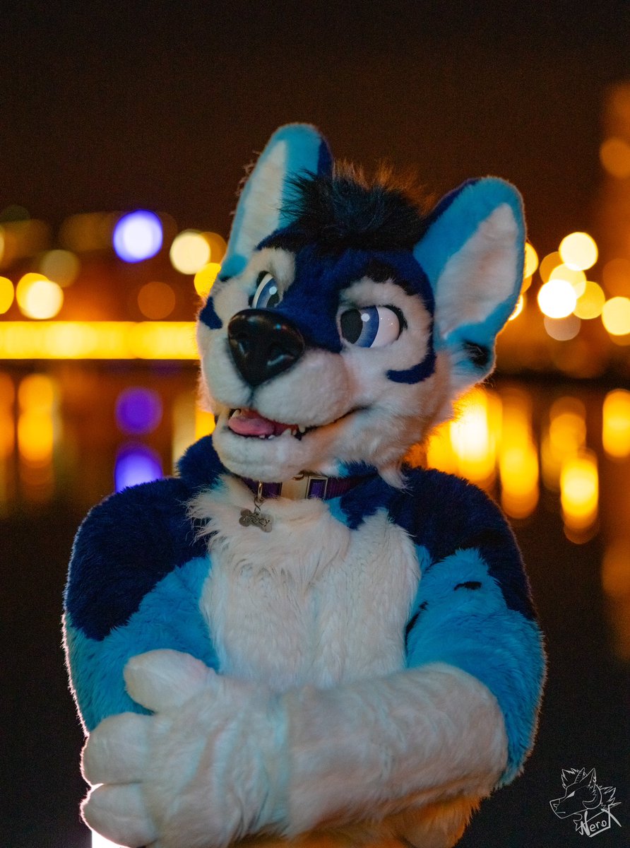 Ready for the weekend?!💙 Happy #FursuitFriday!!! 📸:@fur_nerox