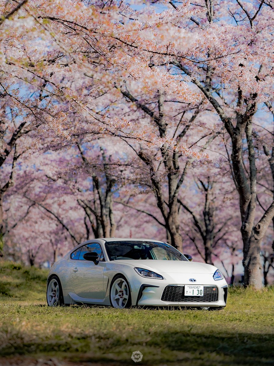 今年は撮れそうにないので昨年の🥹

 #愛車と桜