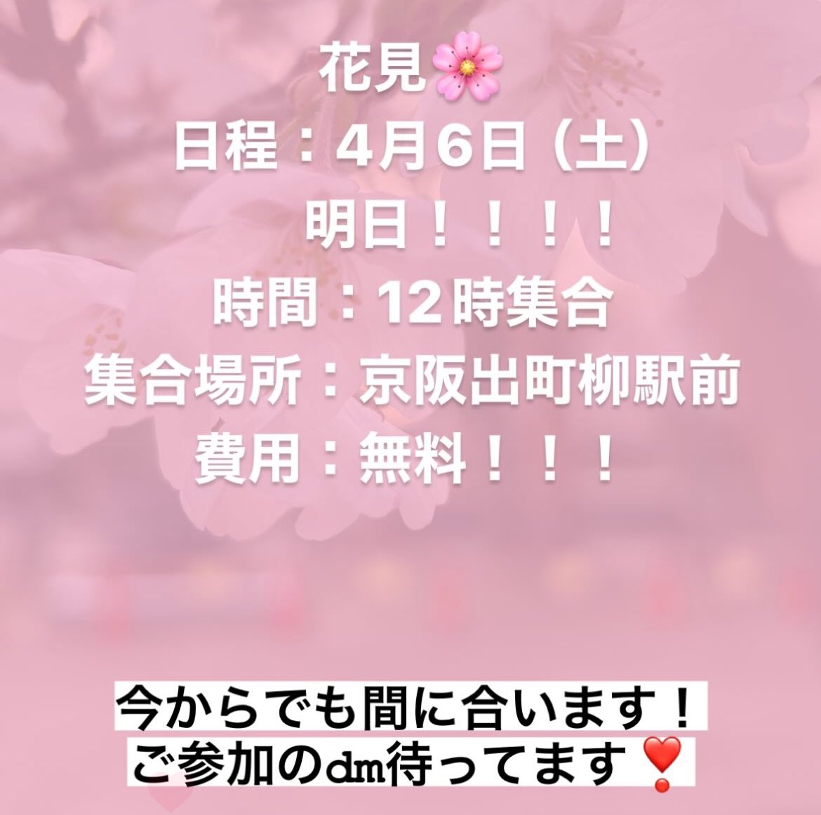 明日新歓イベントあります❣️❣️
dm待ってます！！