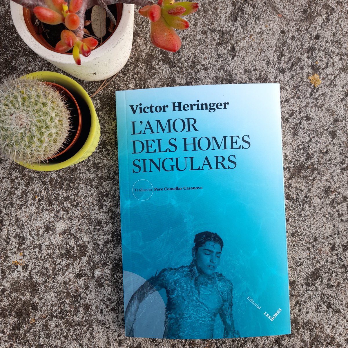 🖊️«Jo encara no era aquesta hiena. Tenia un món interior per viure abans que se m’acabés. M’agradava Jules Verne, Henry Haggard, les voltes al món i l’Illa del tresor.» 📚 L’amor dels homes singulars, de Victor Heringer 🌍Trad @Perecomellas1 editorialleshores.com/cataleg/lamor-…