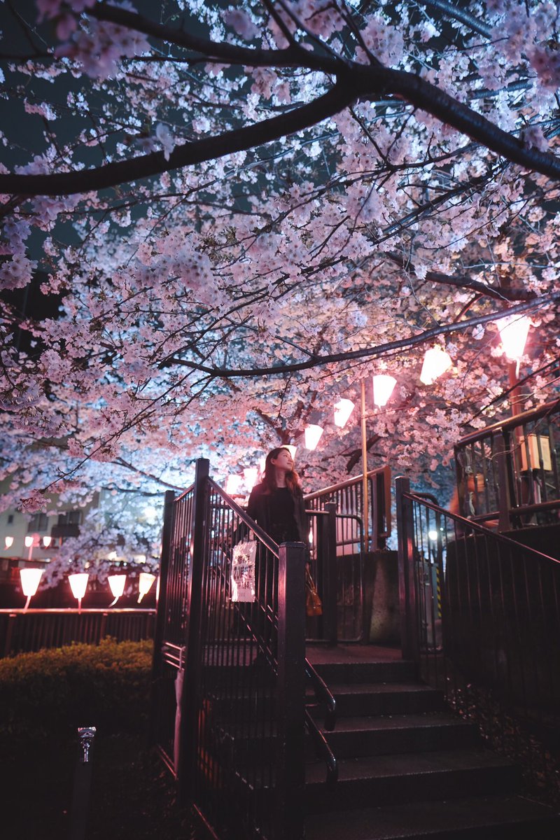 「 exploring japan 」
。
。
Pink Monsoon 
。
。
#ExploreJPN #inspirationcultmag #streetdreamsmag #explorejapan #tokyocameraclub #japantravel #reco_ig  #japan #indy_photolife #日本 #ポートレート #portrait #streetphotography #東京 #tokyo #landscapephotography #桜 ＃春 #spring