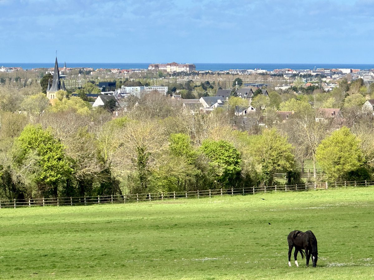 Quite a view from the top paddock at the historic ⁦@harasdemeautry⁩: Deauville racecourse in the mid-distance, the Royal Barriere and the sea beyond.