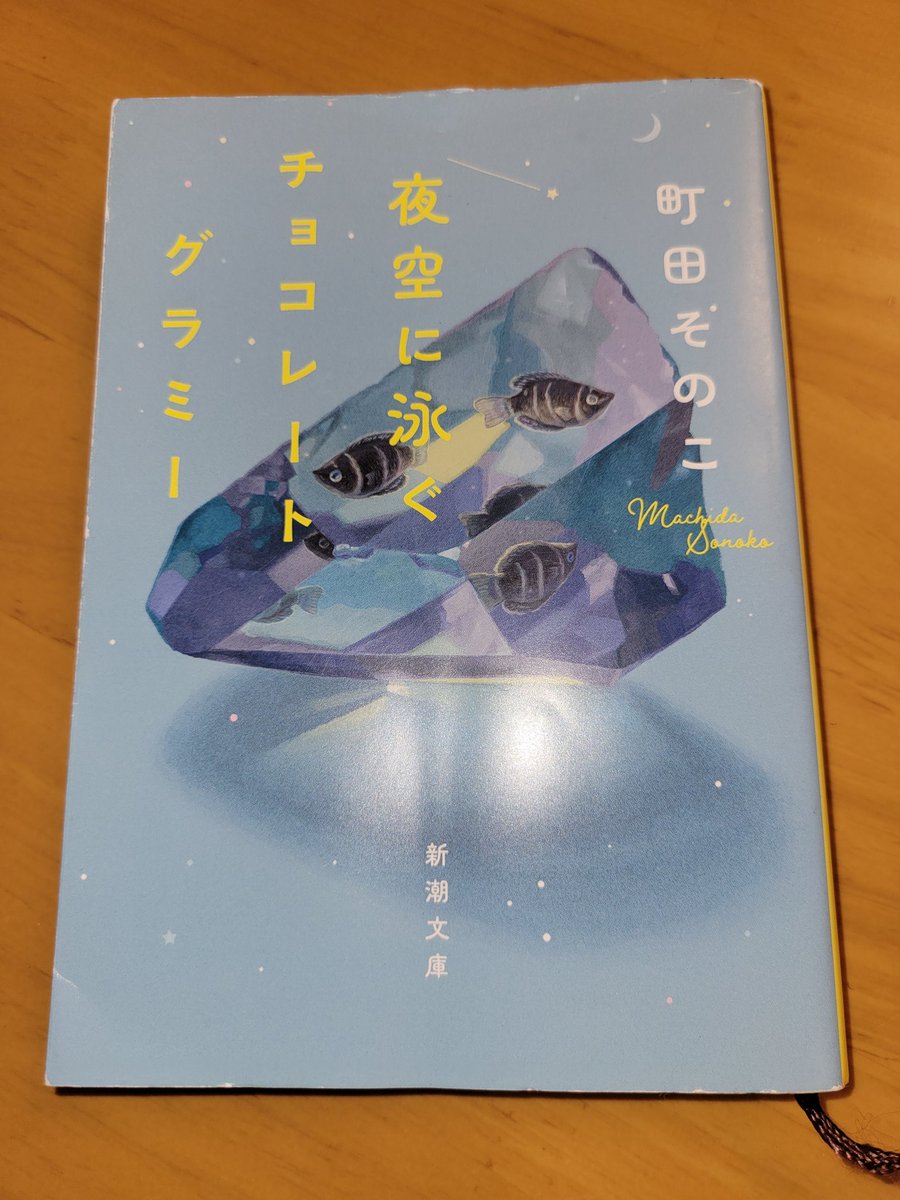 夜空に泳ぐチョコレートグラミー
町田そのこ　　読了

重く苦しい話が続くのだが、最後にポッと心に光が灯るような…読後感。

生きていくには強さが必要だと感じる、町田そのこさんのデビュー作。