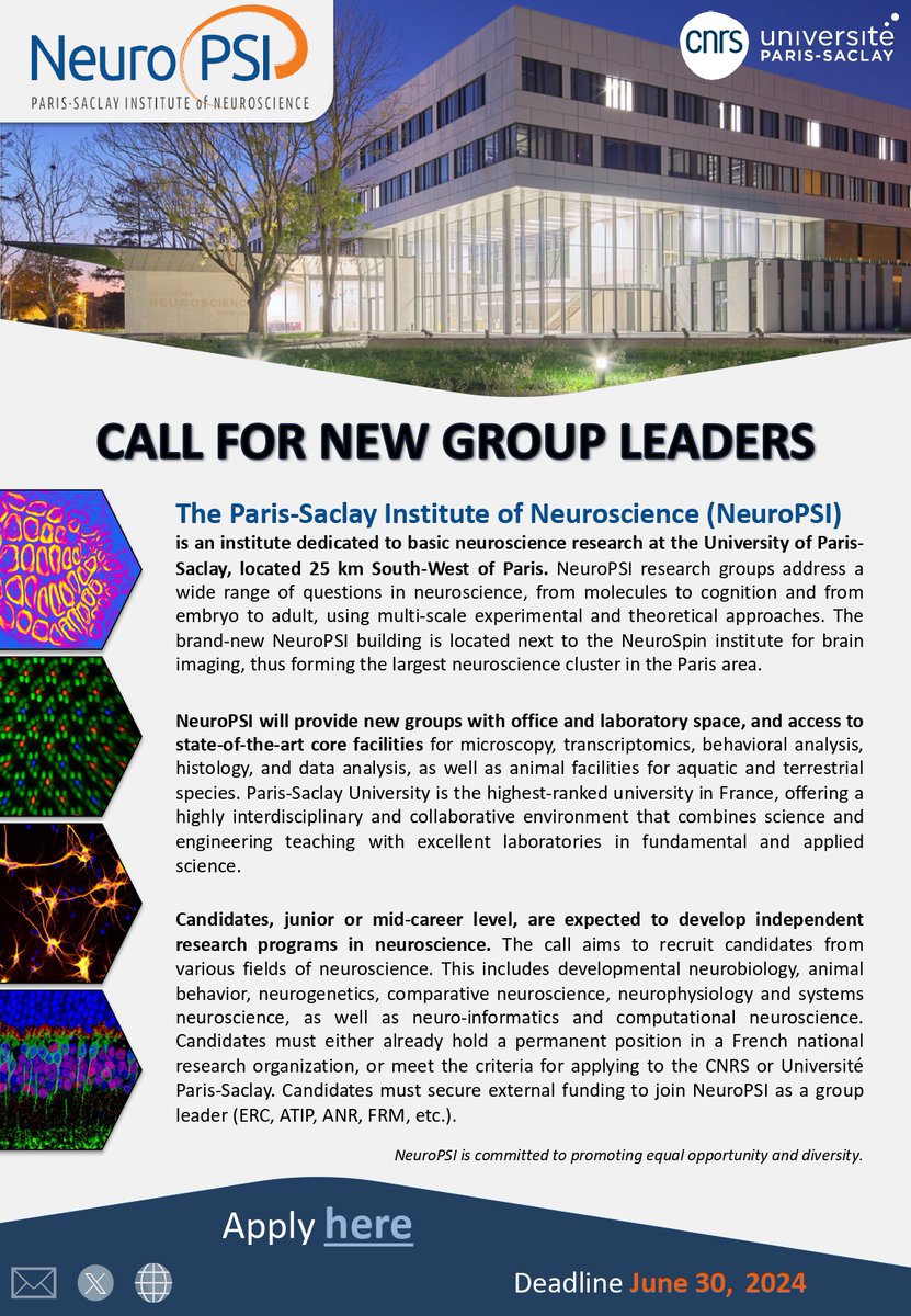 ‼️call for new group leaders @NeuroPSI_saclay 🥼junior or mid-career level 📅apply before June 30th neuropsi.cnrs.fr/en/offer2024/