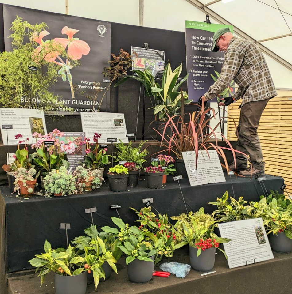 Due to the high winds forecast over the weekend resulting from Storm Kathleen, there will be no access to Woodland Play, Middle Wood, Ellesmere Lake and the Chinese Streamside Garden. The Spring Plant Fair will take place as planned in our marquee and is already looking great!