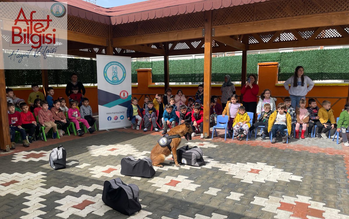 manisabsb's tweet photo. ‘Ben Minik Tarzan’ım Afetlere Hazırım’ projemiz kapsamında, Sağlık İşleri Dairesi Başkanlığımıza bağlı Köpek Eğitim ve Rehabilitasyon Merkezi, #Akhisar Şehit Yüzbaşı Necdi Şentürk Anaokulu öğrencilerinin konuğu oldu.

Detaylar; https://t.co/LjdFQVsqYH https://t.co/67VorpPBq4
