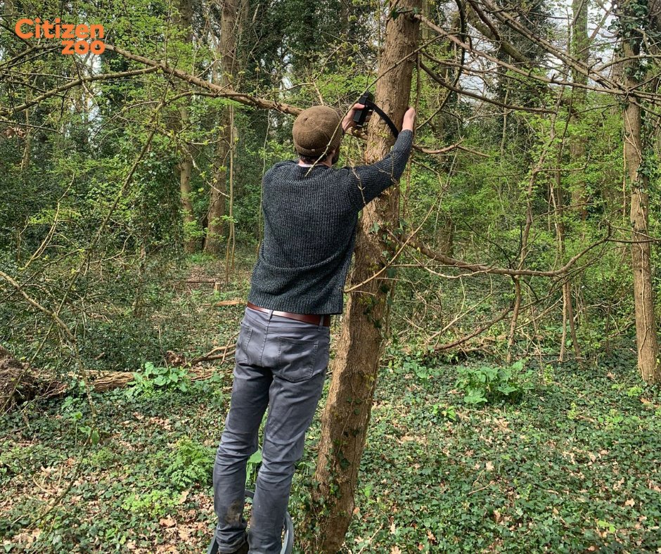 We loved being out on site with @carbonrewild setting up five bioacoustic sensors to survey for mammals and birds. This is our second round of surveys at Tolworth Court Farm Fields and we are excited to see what turns up! @RBKingston @communitybrain