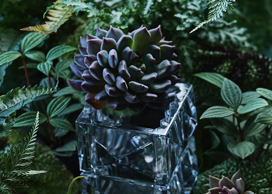 BACCARAT X OKAERI Embracing the serenity of nature, mirrored in crystal's pure embrace. @Baccarat, capturing the essence of nature's tranquility. on.baccarat.com/louxortumblers #Baccarat #BaccaratBarware #BaccaratCollection