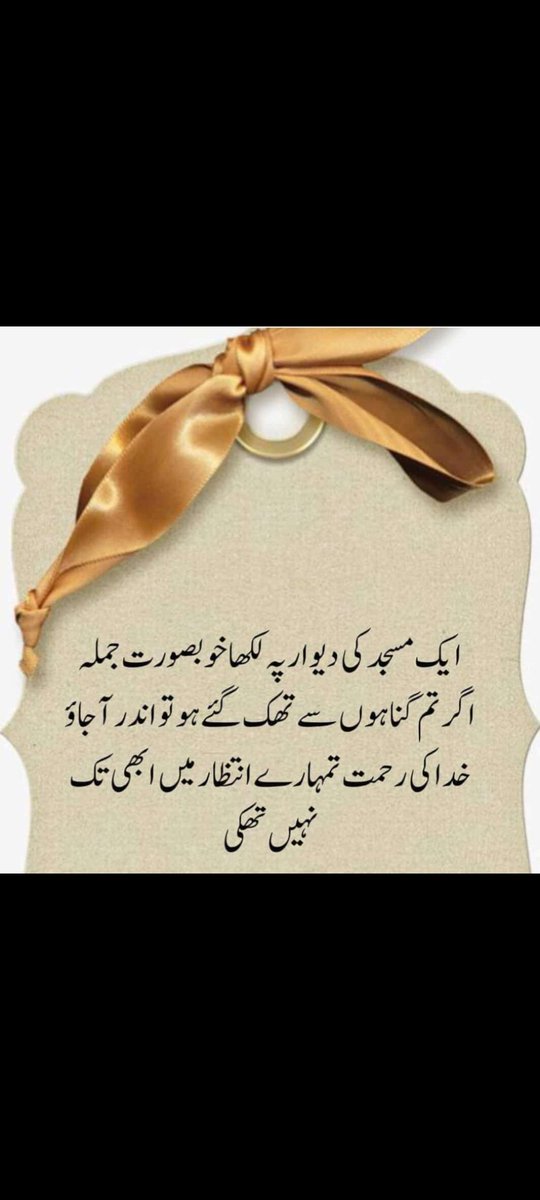 dmsa786's tweet image. ✨Follow for 1000 % follow back✨