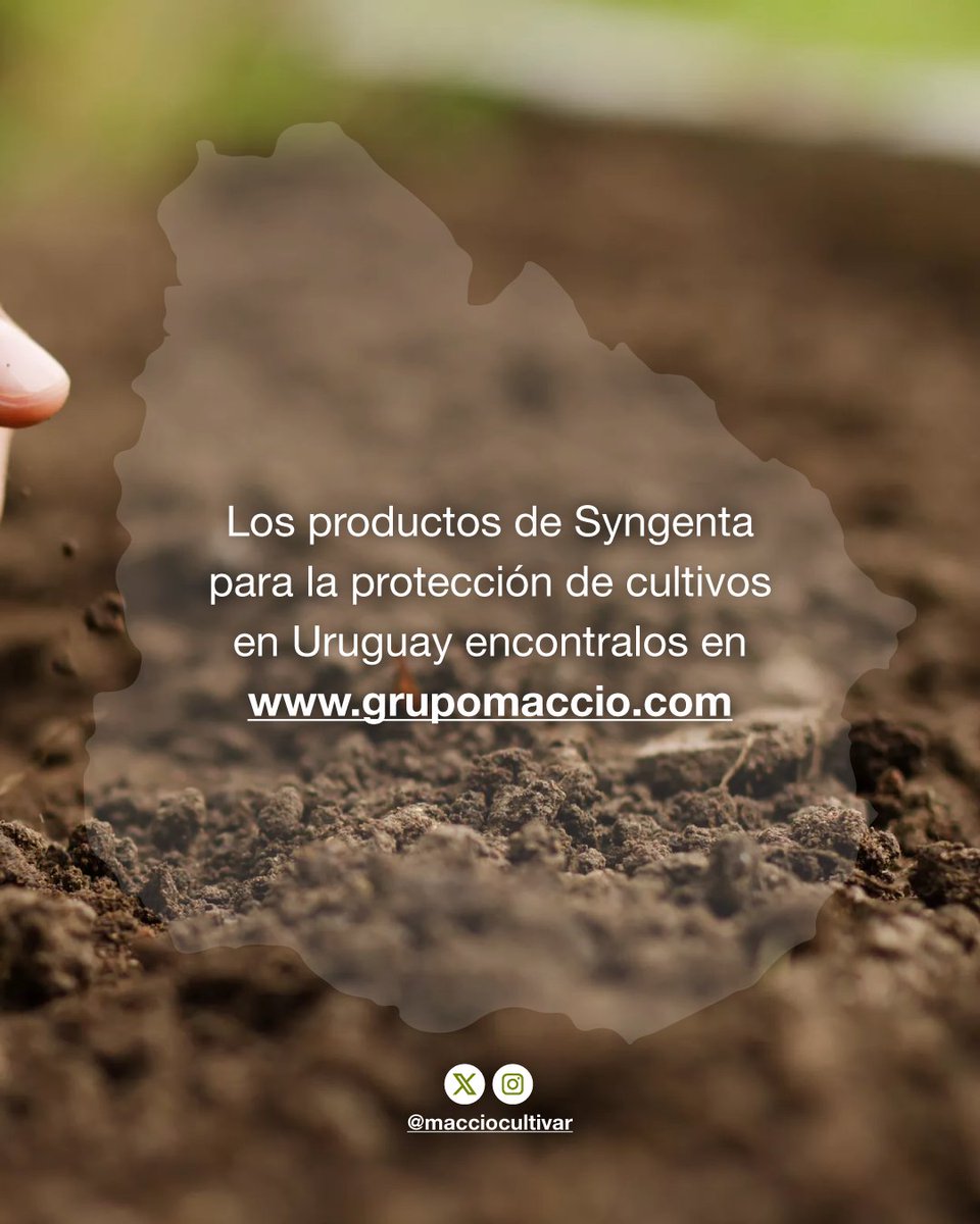 Syngenta Uruguay (@syngentauy) on Twitter photo ¿Buscás soluciones agrícolas confiables y efectivas? 🤗
Como distribuidor exclusivo de productos de protección de cultivos de Syngenta en #Uruguay, en <a href="/macciocultivar/">Pedro Maccio y Cía. S.A.</a> podés encontrar una amplia gama de soluciones de alta calidad 🌱.
📞 (598) 2211 1010
🔗 grupomaccio.com ¿Buscás soluciones agrícolas confiables y efectivas? 🤗
Como distribuidor exclusivo de productos de protección de cultivos de Syngenta en #Uruguay, en <a href="/macciocultivar/">Pedro Maccio y Cía. S.A.</a> podés encontrar una amplia gama de soluciones de alta calidad 🌱.
📞 (598) 2211 1010
🔗 grupomaccio.com