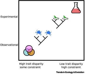 Online now: Pangenomes at the limits of evolution dlvr.it/T56GTv