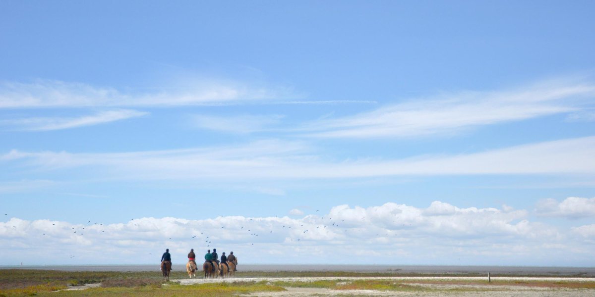 Consultation du public : Pour ses 30 ans, la Réserve Naturelle Nationale Baie de Somme revoit sa réglementation.

bit.ly/4b0AbIf

#hautsdefrance