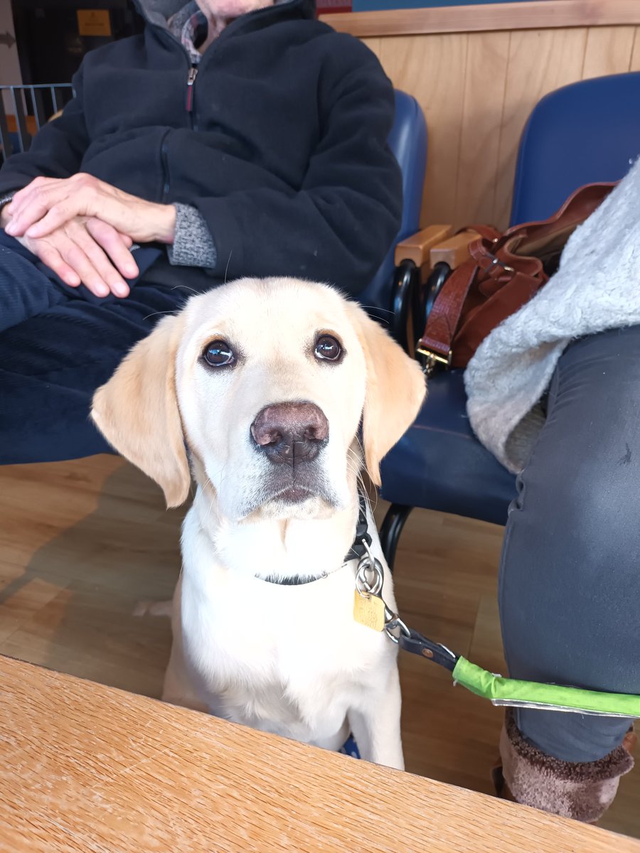 Copa Fizz 🍾 tweet media