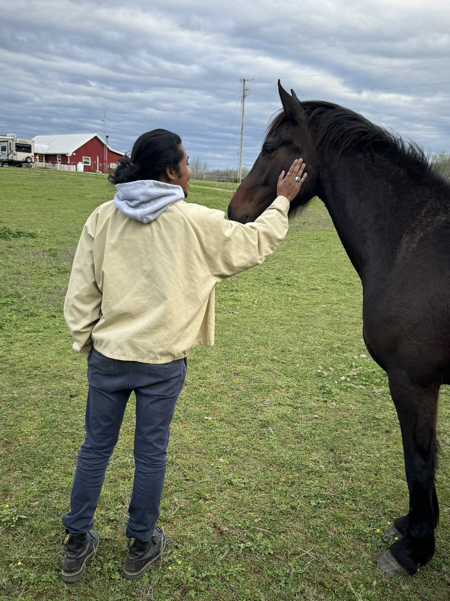 Horses >>> House of Representatives