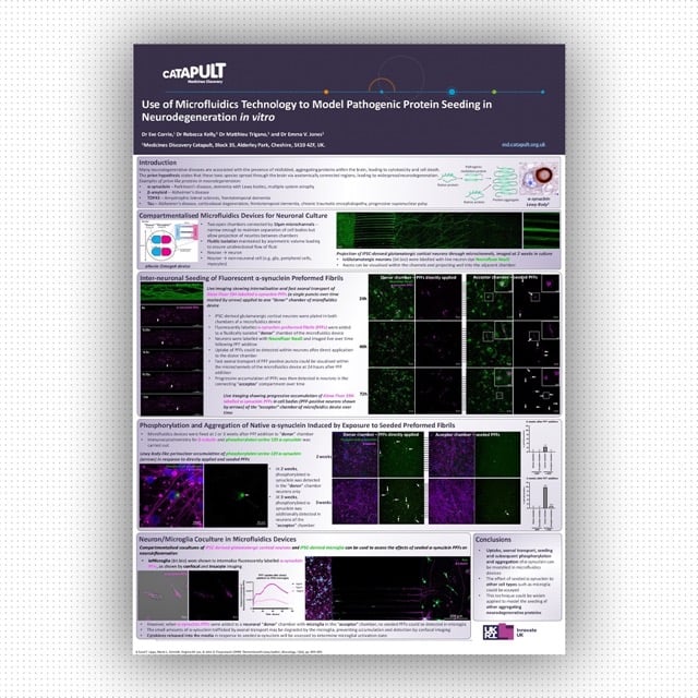 Another poster from this year's @AlzResearchUK Conference. Use of #Microfluidics Technology to Model Pathogenic Protein Seeding in #Neurodegeneration in vitro. 🔗 hubs.li/Q02q-khX0