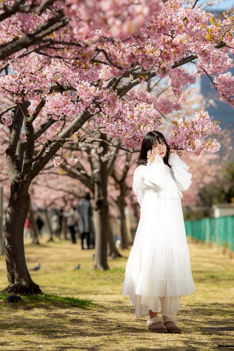 蒼井ハルさん 🌸 @aoiharu_168 #portrait #ポートレート #河津桜