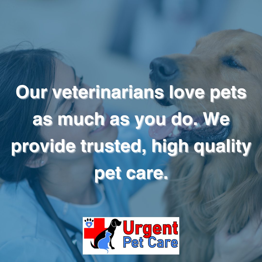 Our veterinarians love pets as much as you do. We provide trusted, high-quality pet care.🐾

Click the 🔗 in our bio for more information!

#urgentpetcare #emergency #vetlife #animals #cats #dogs